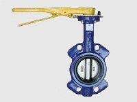 Затвор дисковый Баттерфляй IVR тип газ
